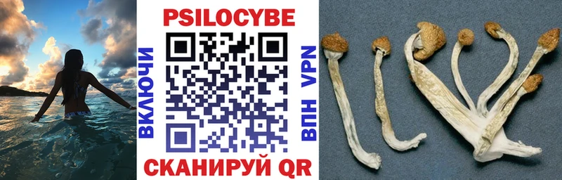 Купить закладки  Опочка  Псилоцибиновые грибы прущие грибы 
